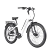 CTI 3 Step Through Electric Bike2