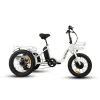 NEW-TRIKE-1-_3.webp