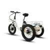 NEW-TRIKE-1-_4.webp