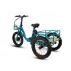 NEW-TRIKE-BL2_2.webp