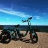 NEW-TRIKE_89639207-cd91-4355-a686-5947b13bf2b3.webp