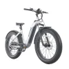 tundra-electric-bike-384469.webp