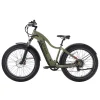 tundra-electric-bike-598900.webp