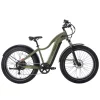 tundra-electric-bike-884552.webp